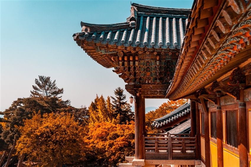 釜山慶州賞楓5日｜升等五星.紅流洞溪谷.金剛纜車楓紅.古都慶州賞楓.天空膠囊列車.豪華遊艇(彩妝)