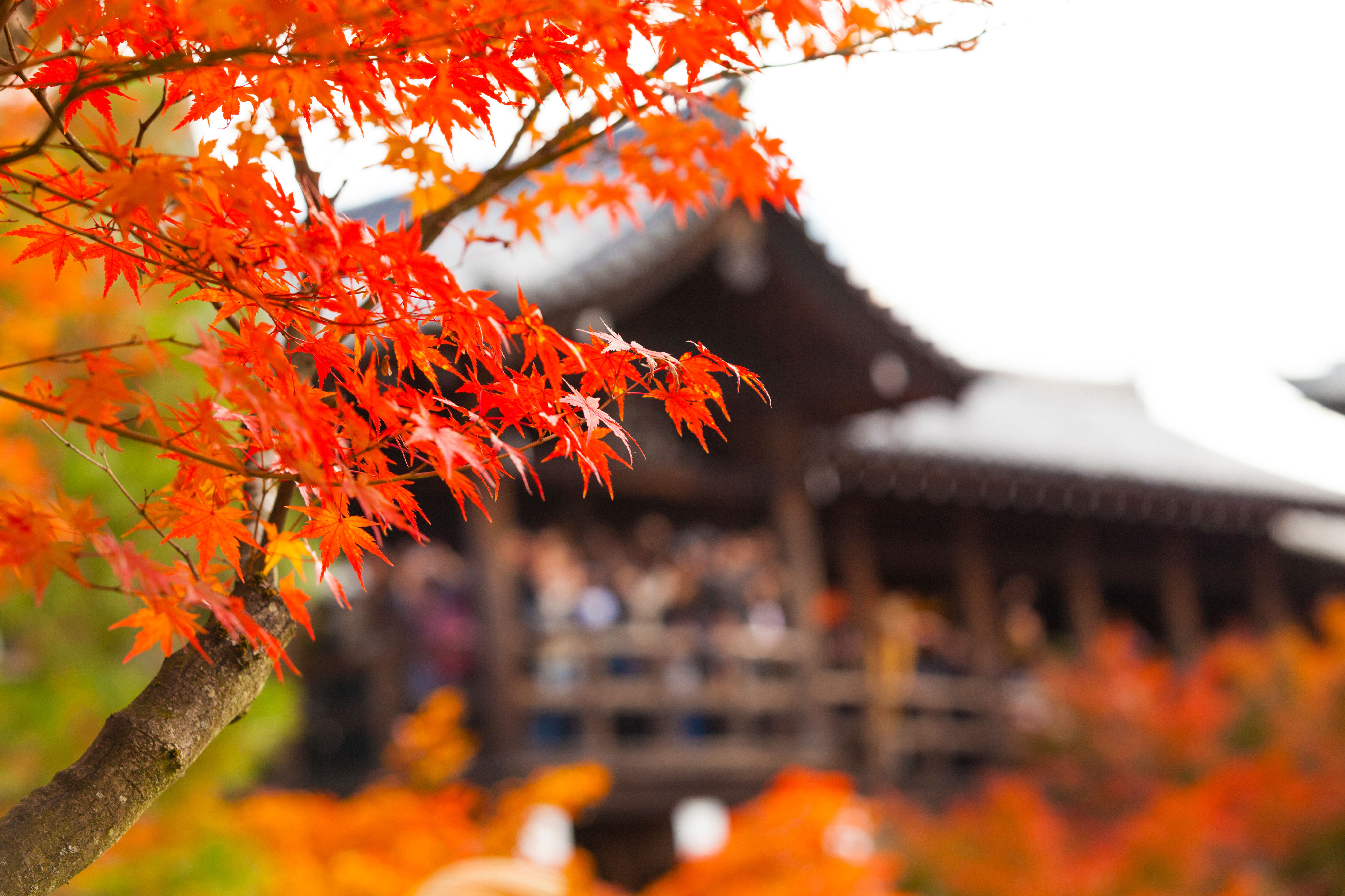东福寺